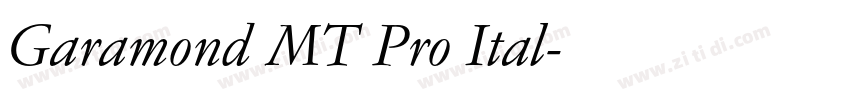 Garamond MT Pro Ital字体转换 Garamond MT Pro Ital字体转换